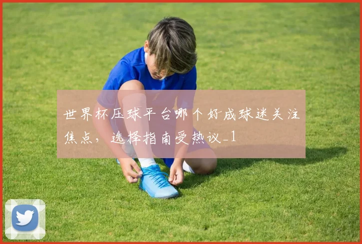 世界杯压球平台哪个好成球迷关注焦点,选择指南受热议_1