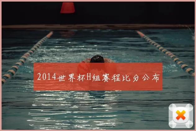 2014世界杯H组赛程比分公布