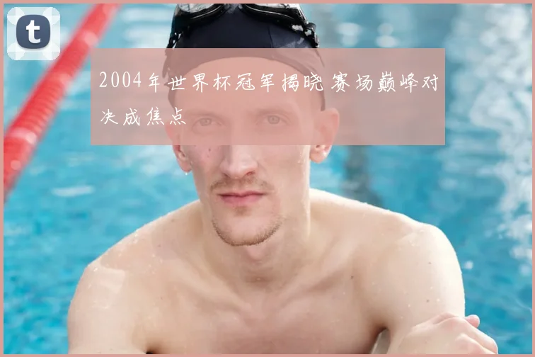 2004年世界杯冠军揭晓 赛场巅峰对决成焦点
