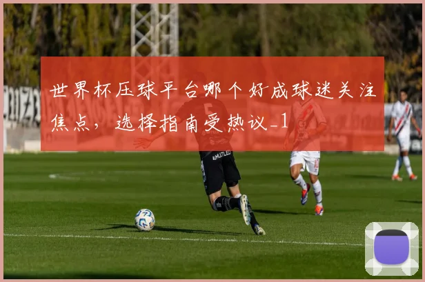 世界杯压球平台哪个好成球迷关注焦点，选择指南受热议_1