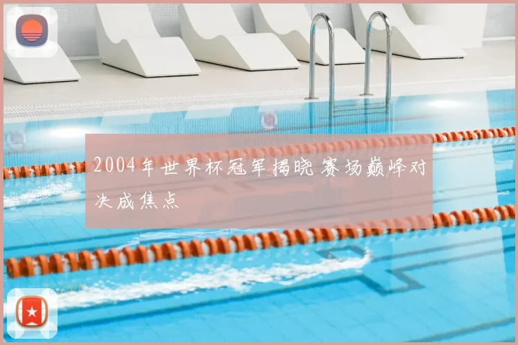 2004年世界杯冠军揭晓 赛场巅峰对决成焦点