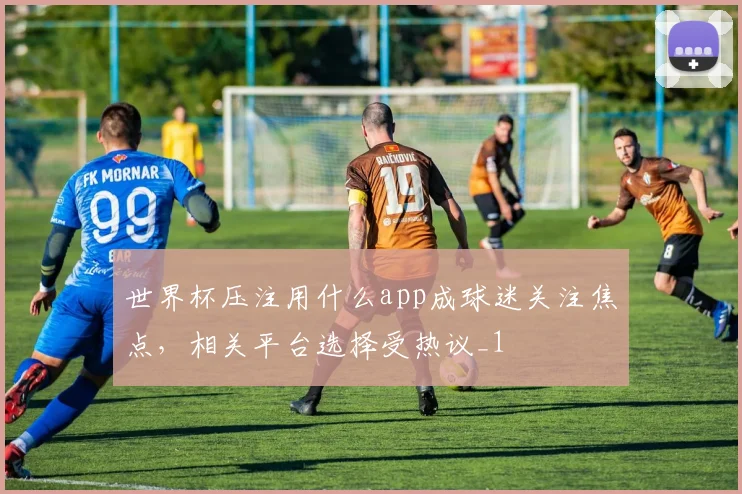 世界杯压注用什么app成球迷关注焦点,相关平台选择受热议_1